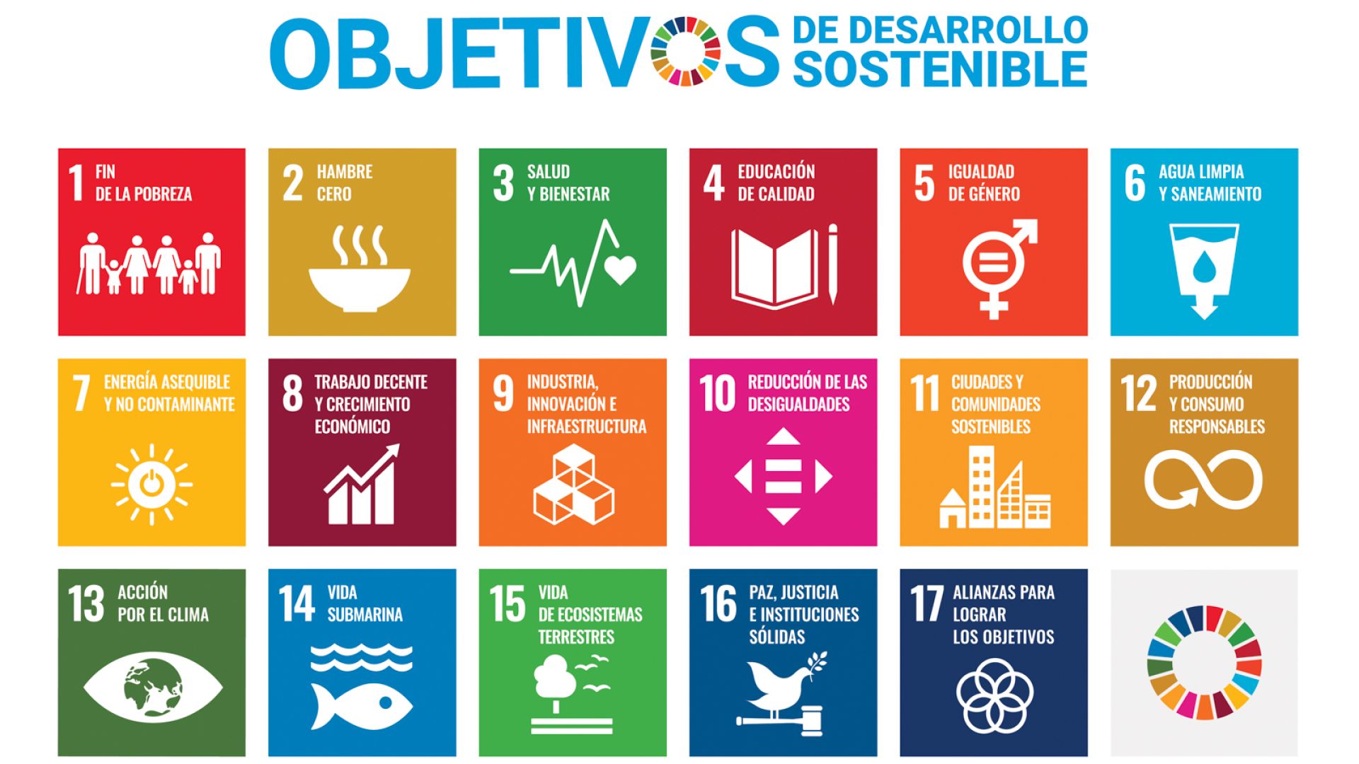 Giornata internazionale dei diritti umani 2025.