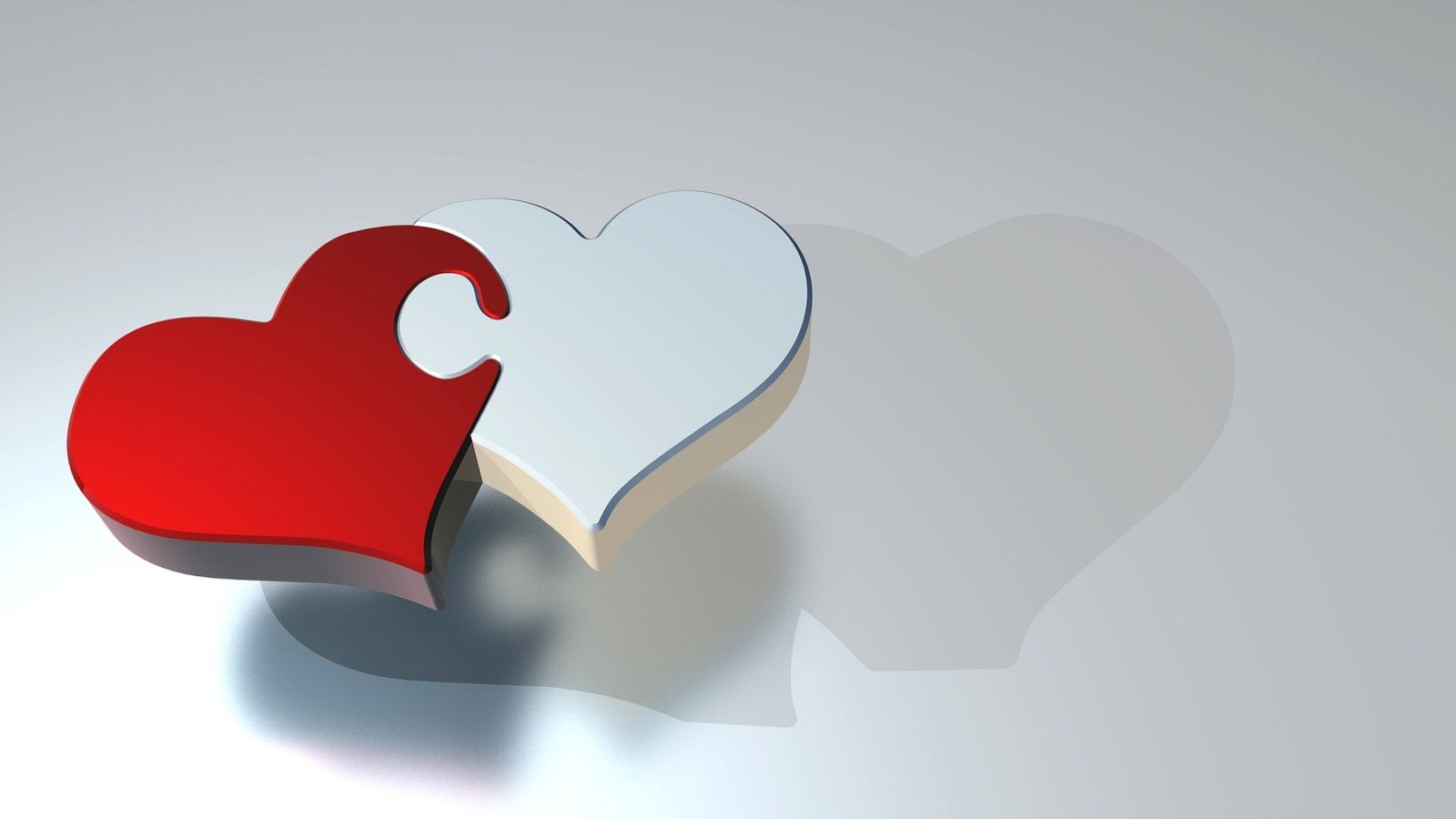 Recolección: una palabra, un sentido y una vivencia compartida y feliz