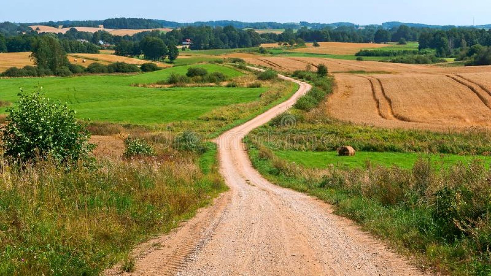 camino-hermoso-en-un-campo-de-tierra-ancho-109024184