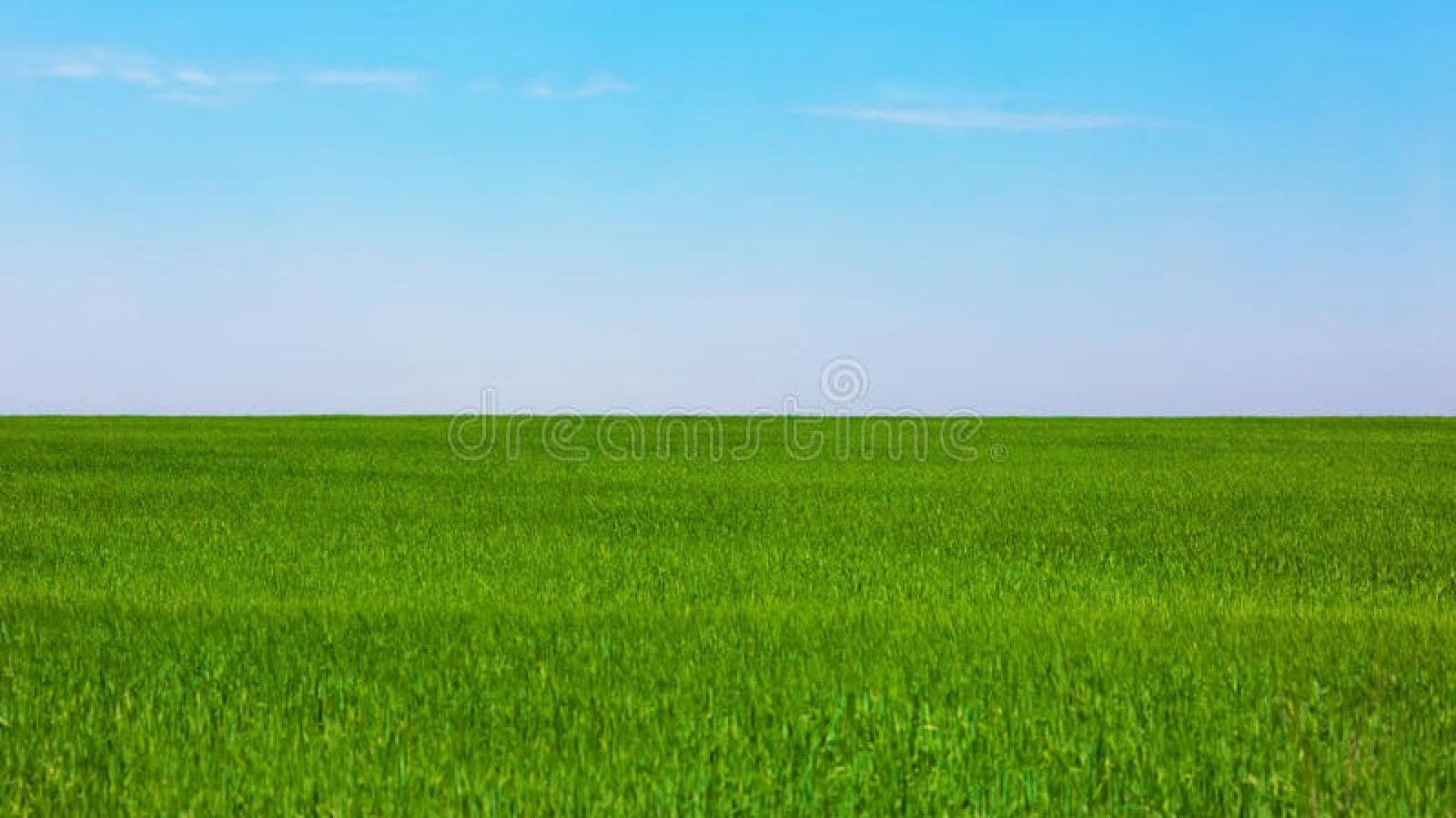 campo-llano-verde-36578840